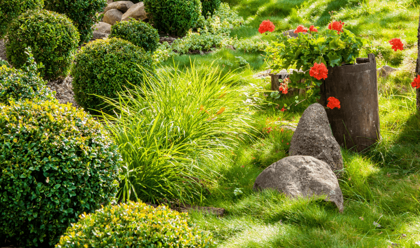 Landscaping Services